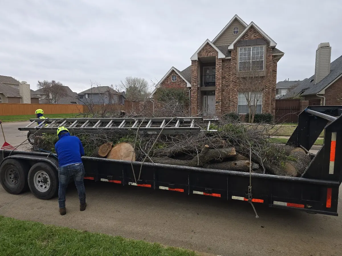 Expert Lot Clearing with proper safety equipment in Addington